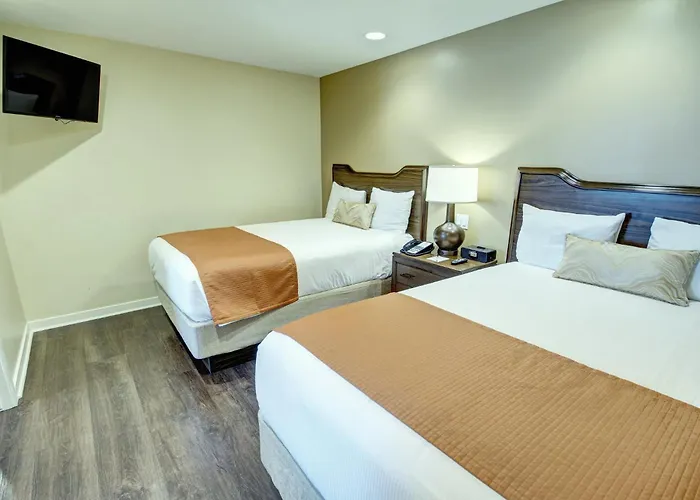 Orange Tree 1br * Phoenix